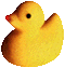 toyduck.gif